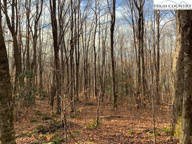 Sugar Bear Ridge Lane Banner Elk, NC 28604 - Photo 14 of 26 Gallery Image 14