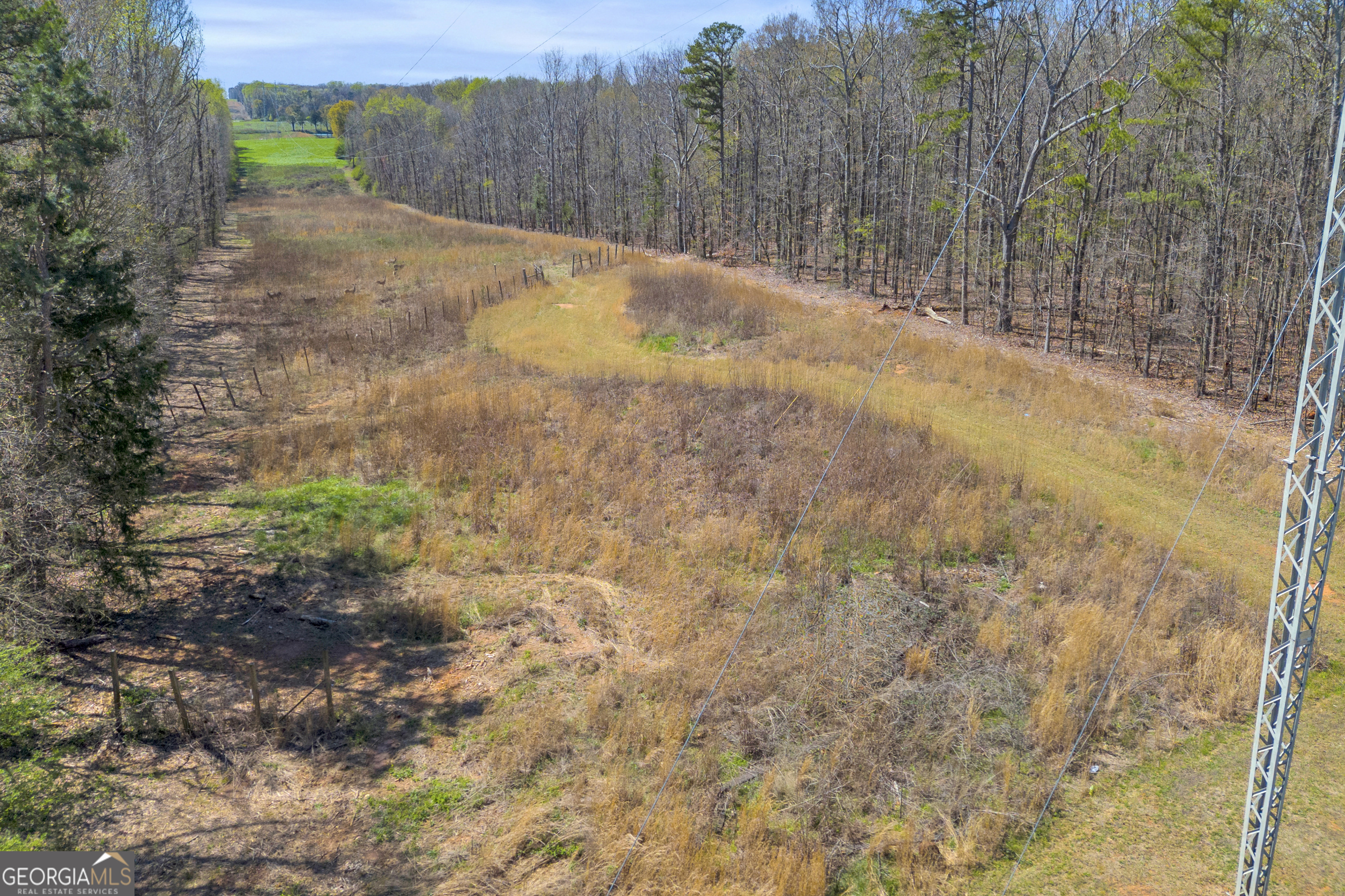 421 Williams Wilson Road Hull, GA 30646 - Photo 51 of 55