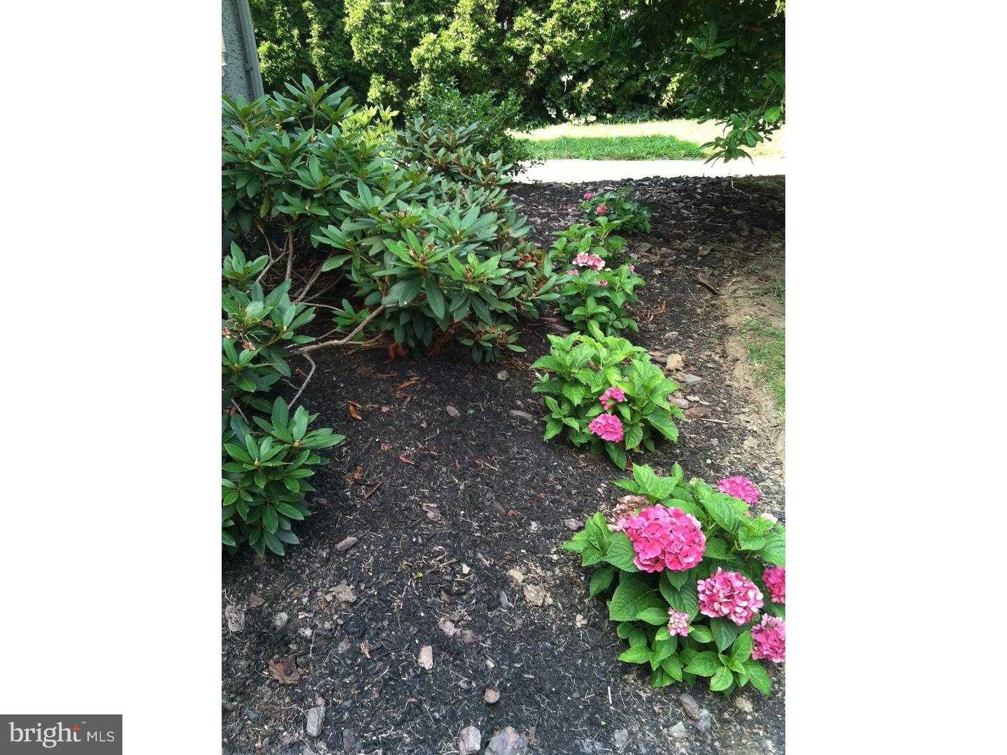 17 Morton Road, Unit B Bryn Mawr, PA 19010 - Photo 2 of 21 Front Yard