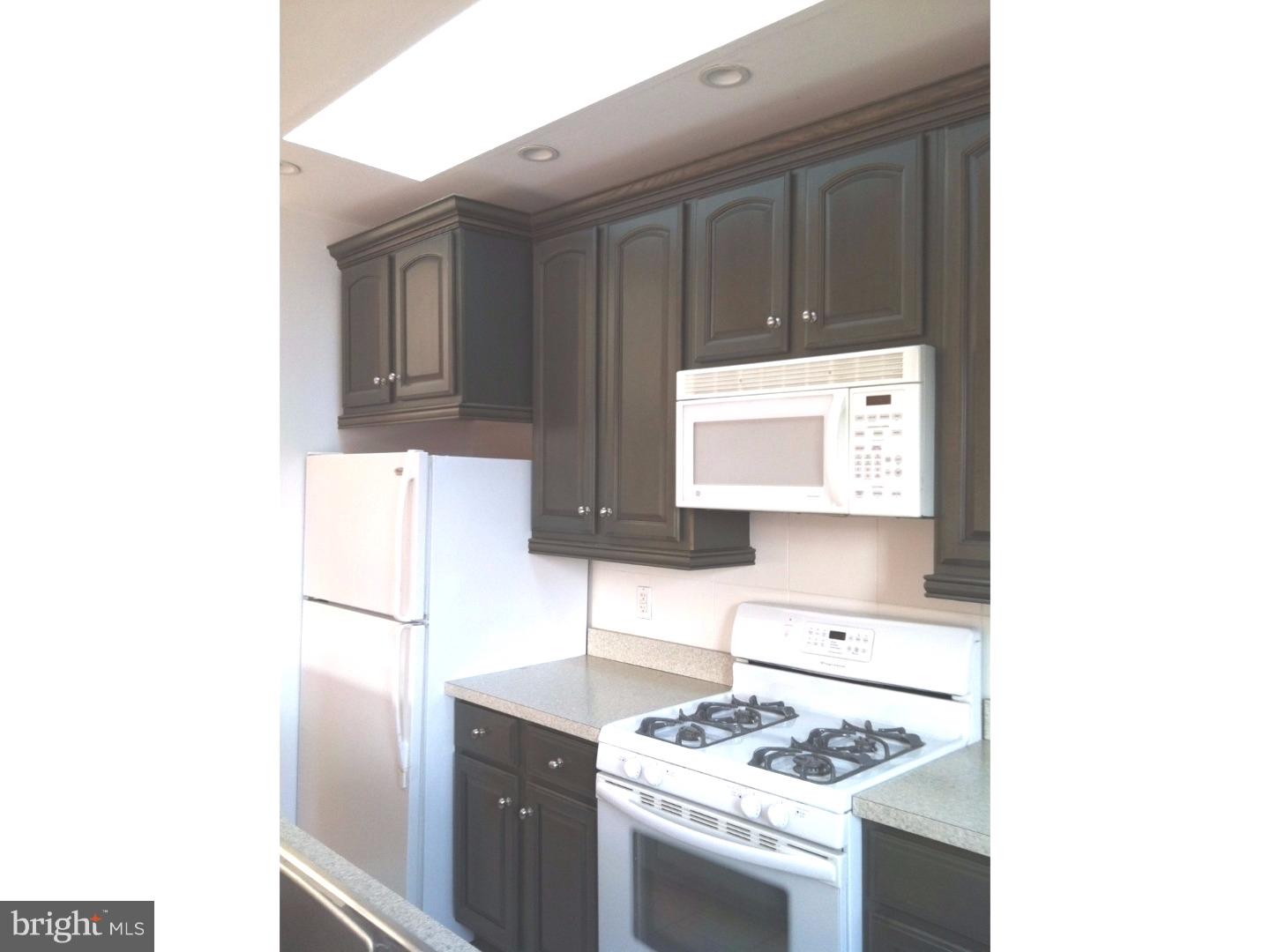 17 Morton Road, Unit B Bryn Mawr, PA 19010 - Photo 4 of 21 Kitchen