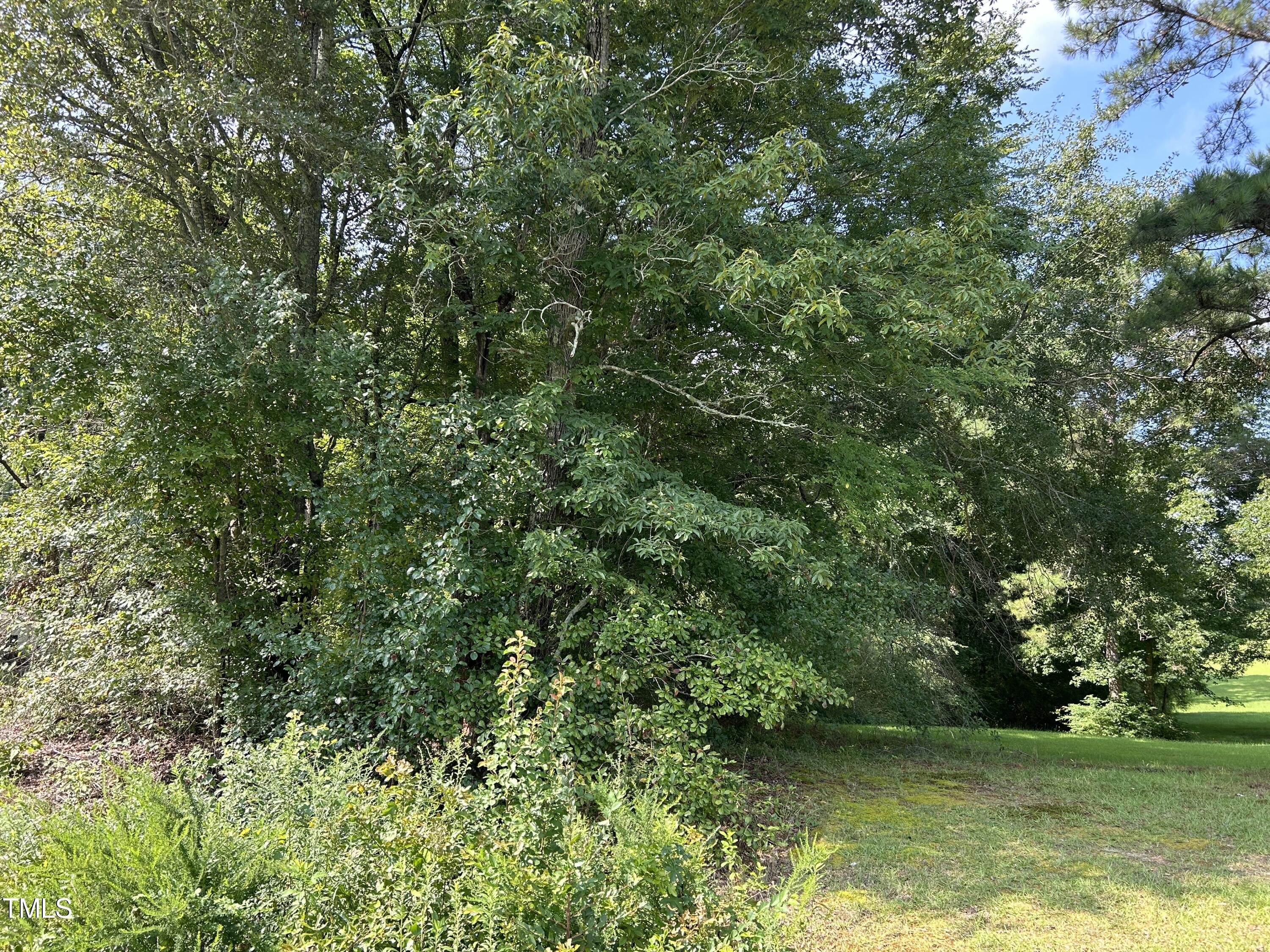 0 Hardee Road Fuquay-Varina, NC 27526 - Photo 2 of 6 IMG_5075