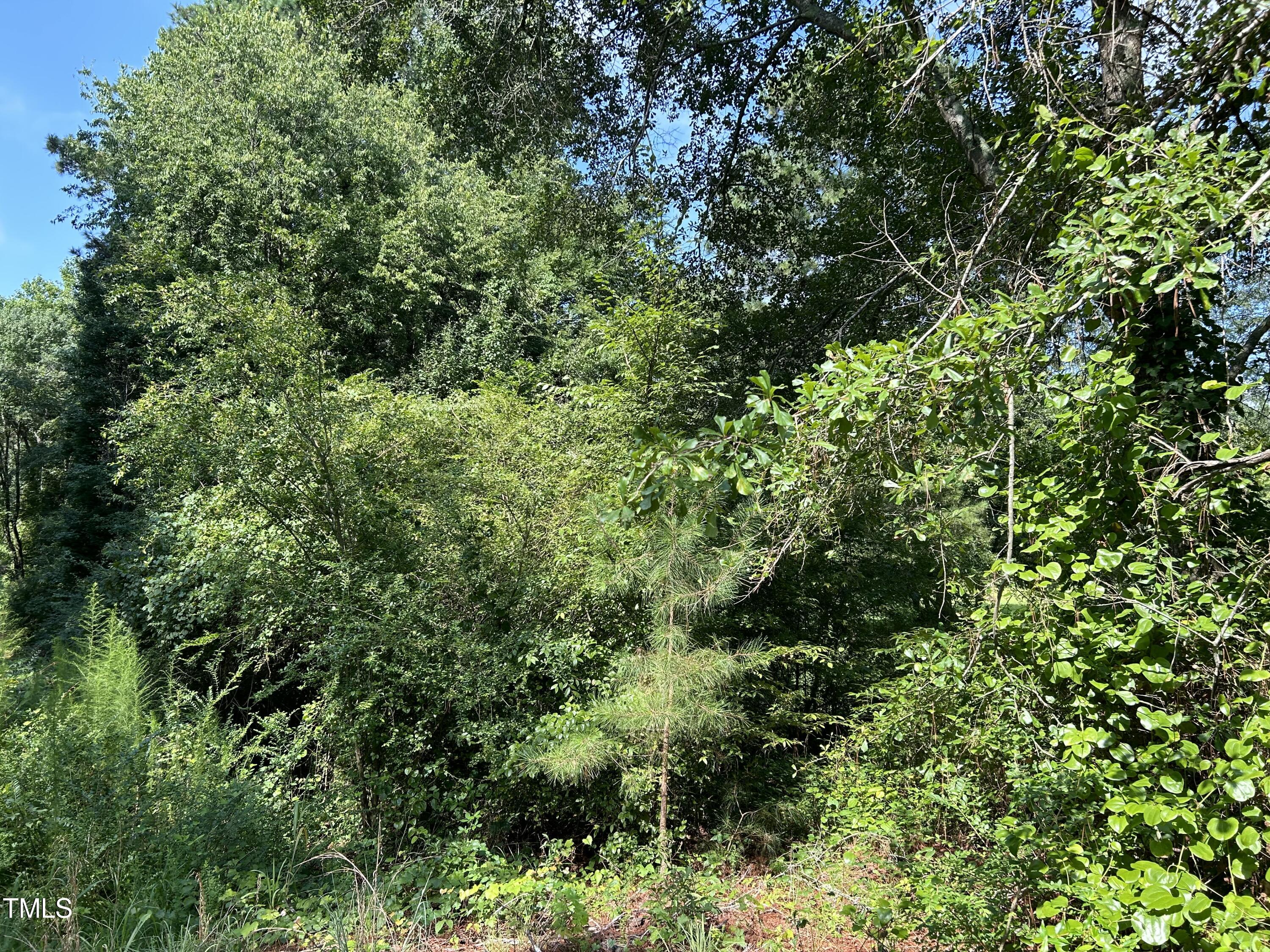 0 Hardee Road Fuquay-Varina, NC 27526 - Photo 3 of 6 IMG_5076