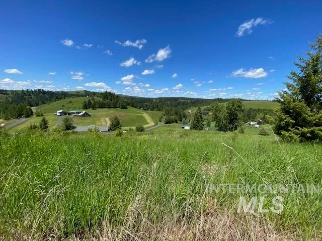 $119,900 | Lot 25 Shenandoah, Kamiah, ID 83536