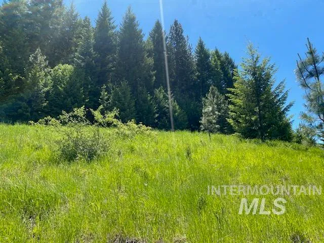$119,900 | Lot 25 Shenandoah, Kamiah, ID 83536