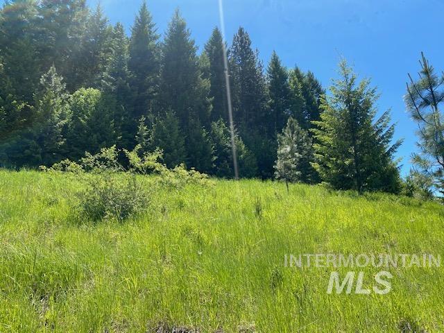 Lot 25 Shenandoah Kamiah, ID 83536 - Photo 11 of 23