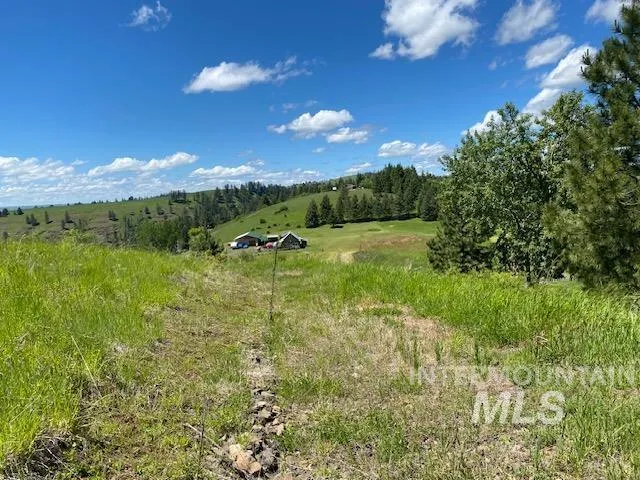$119,900 | Lot 25 Shenandoah, Kamiah, ID 83536