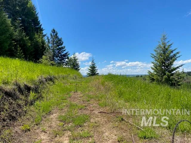 $119,900 | Lot 25 Shenandoah, Kamiah, ID 83536