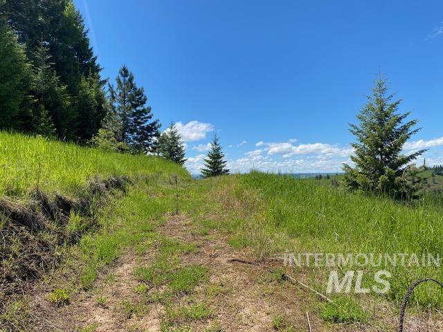Lot 25 Shenandoah Kamiah, ID 83536 - Photo 13 of 23
