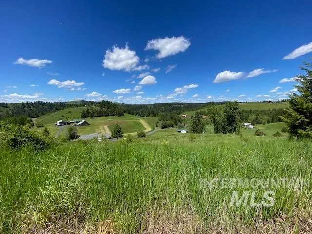 $119,900 | Lot 25 Shenandoah, Kamiah, ID 83536
