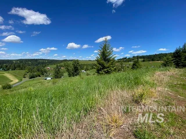 $119,900 | Lot 25 Shenandoah, Kamiah, ID 83536
