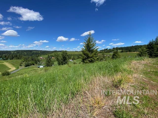 Lot 25 Shenandoah Kamiah, ID 83536 - Photo 15 of 23