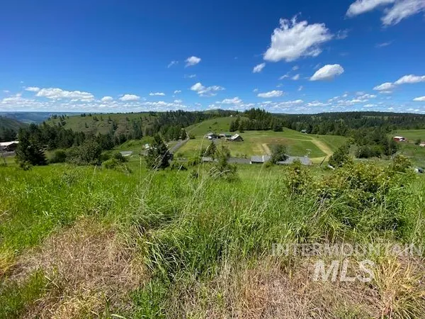 $119,900 | Lot 25 Shenandoah, Kamiah, ID 83536
