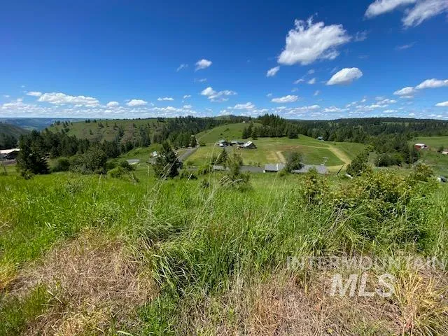 $119,900 | Lot 25 Shenandoah, Kamiah, ID 83536