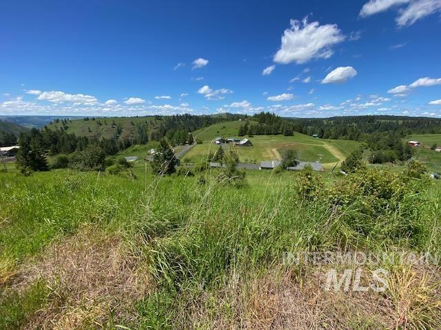 Lot 25 Shenandoah Kamiah, ID 83536 - Photo 16 of 23