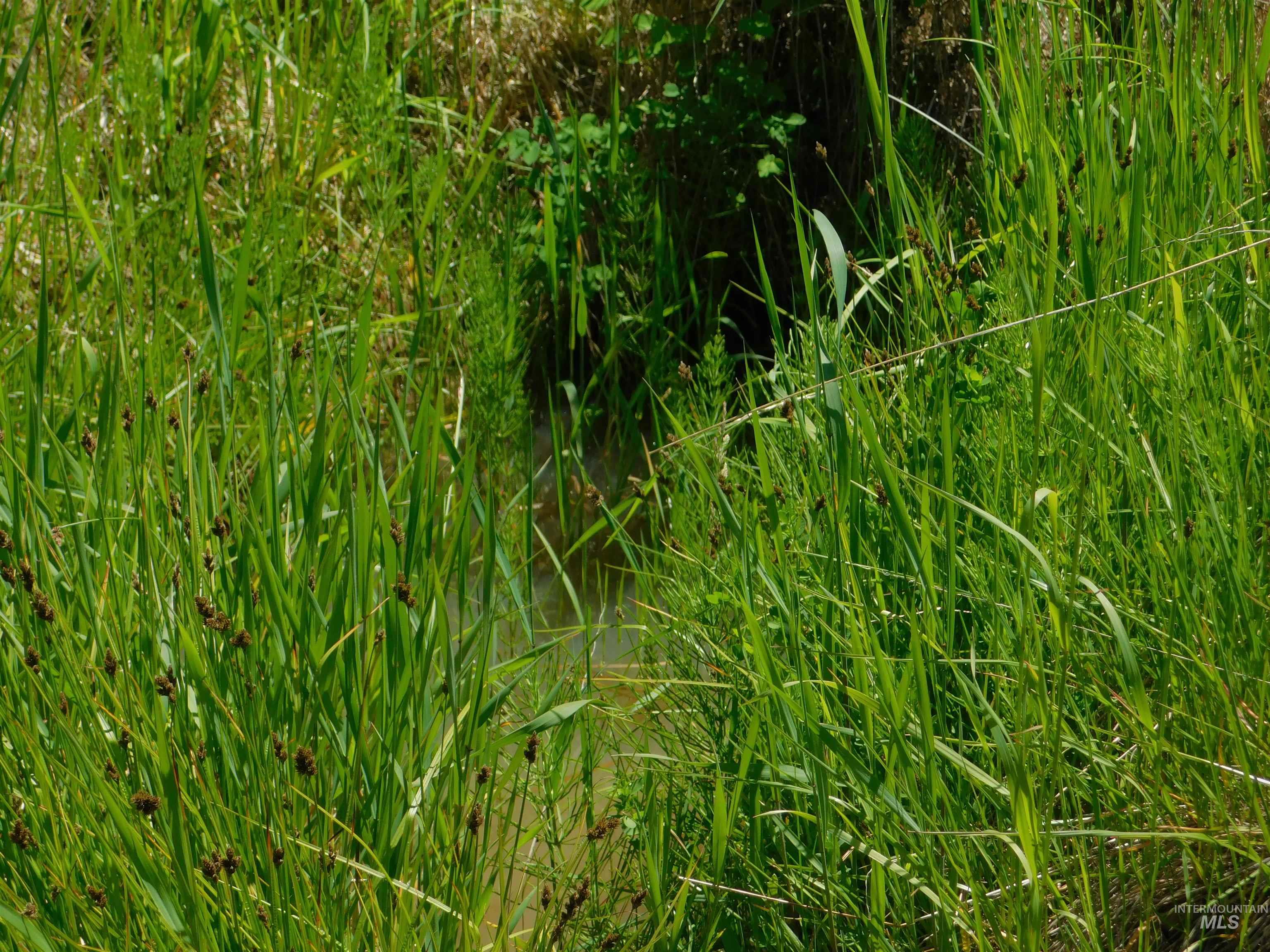 Lot 25 Shenandoah Kamiah, ID 83536 - Photo 18 of 23