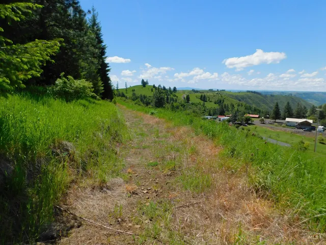 $119,900 | Lot 25 Shenandoah, Kamiah, ID 83536