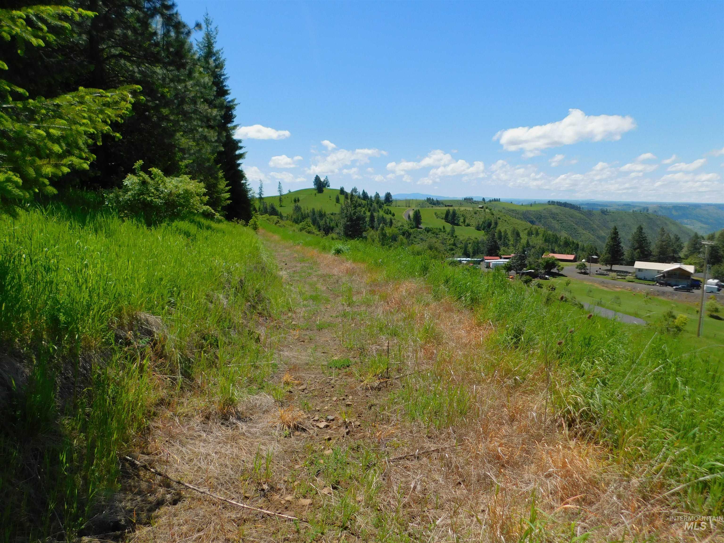 Lot 25 Shenandoah Kamiah, ID 83536 - Photo 20 of 23