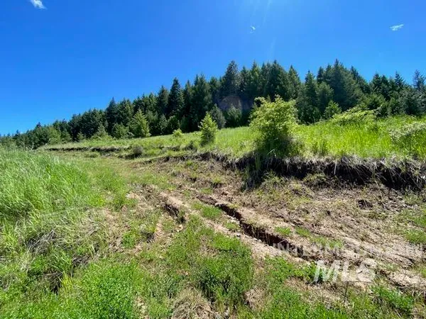 $119,900 | Lot 25 Shenandoah, Kamiah, ID 83536
