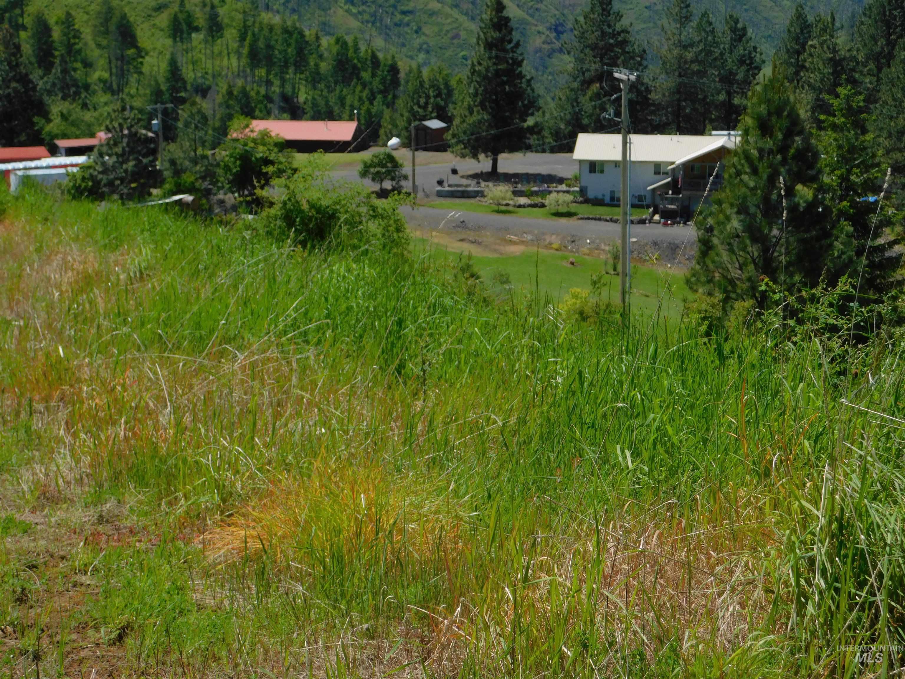 Lot 25 Shenandoah Kamiah, ID 83536 - Photo 21 of 23