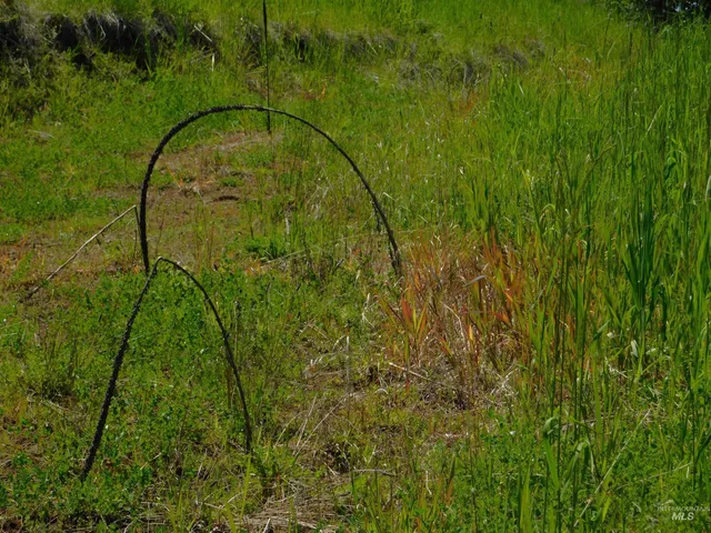 $119,900 | Lot 25 Shenandoah, Kamiah, ID 83536