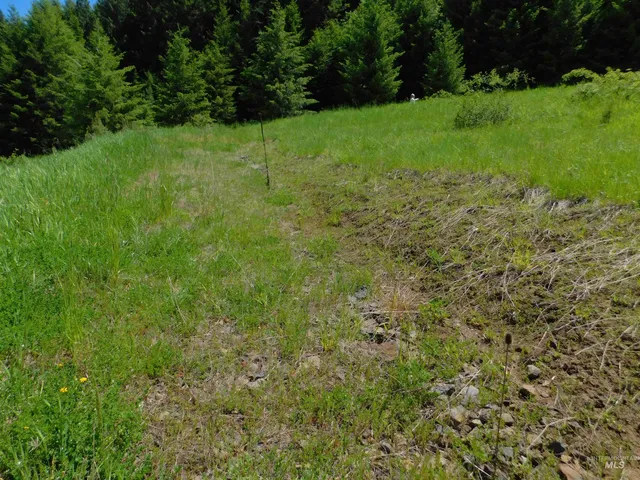 $119,900 | Lot 25 Shenandoah, Kamiah, ID 83536