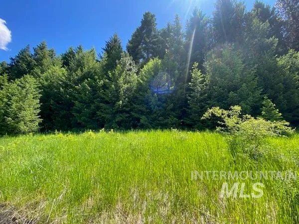 $119,900 | Lot 25 Shenandoah, Kamiah, ID 83536