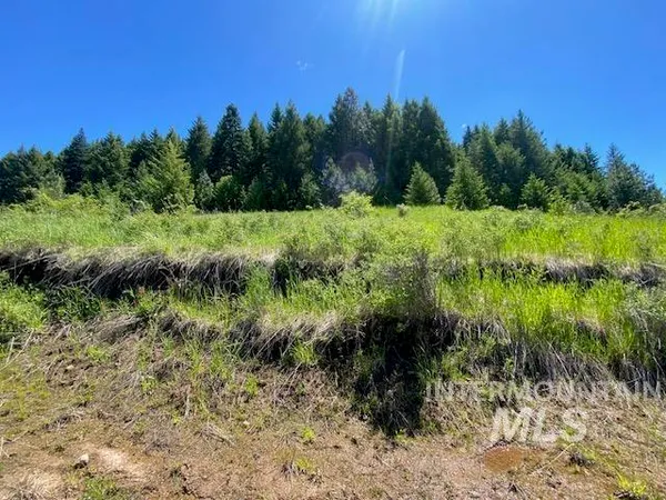 $119,900 | Lot 25 Shenandoah, Kamiah, ID 83536