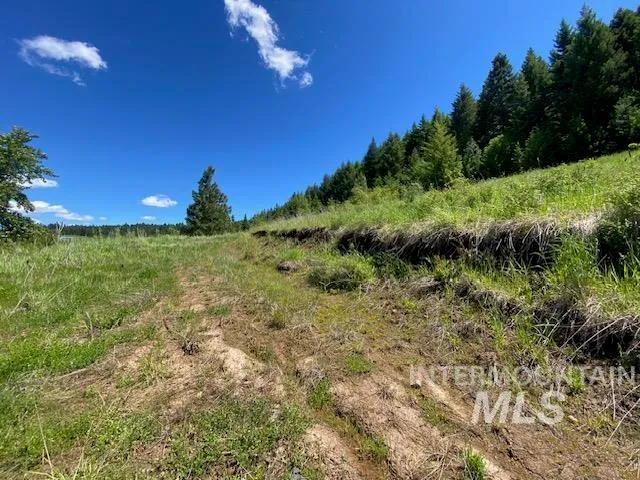 $119,900 | Lot 25 Shenandoah, Kamiah, ID 83536