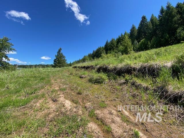 Lot 25 Shenandoah Kamiah, ID 83536 - Photo 5 of 23