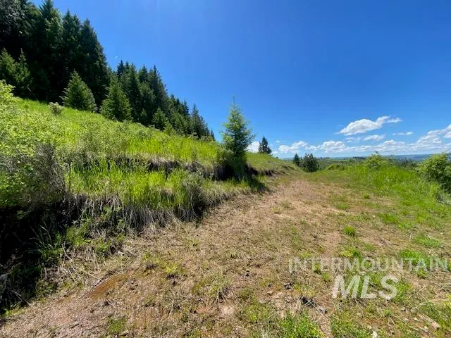 $119,900 | Lot 25 Shenandoah, Kamiah, ID 83536