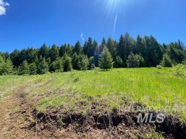 $119,900 | Lot 25 Shenandoah, Kamiah, ID 83536