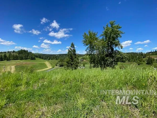 $119,900 | Lot 25 Shenandoah, Kamiah, ID 83536