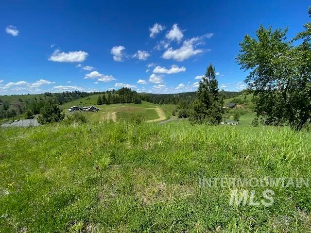 $119,900 | Lot 25 Shenandoah, Kamiah, ID 83536