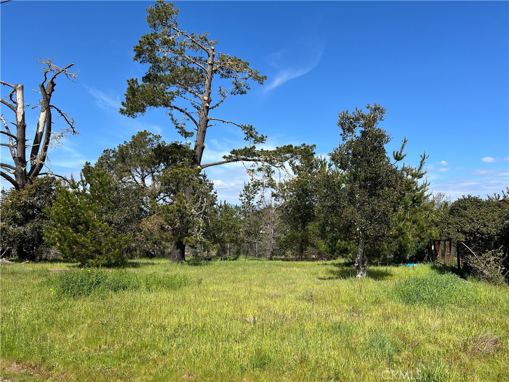 2540 Malvern Street Cambria, CA 93428 - Photo 1 of 11 a view of a yard