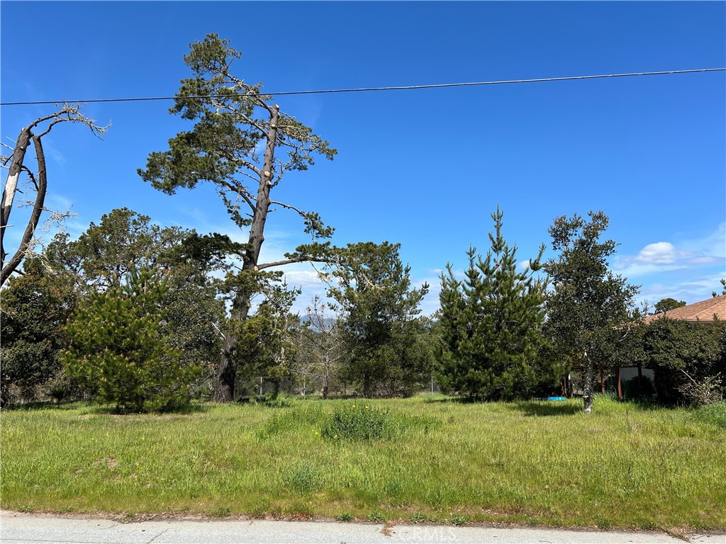 2540 Malvern Street Cambria, CA 93428 - Photo 11 of 11 a view of a garden