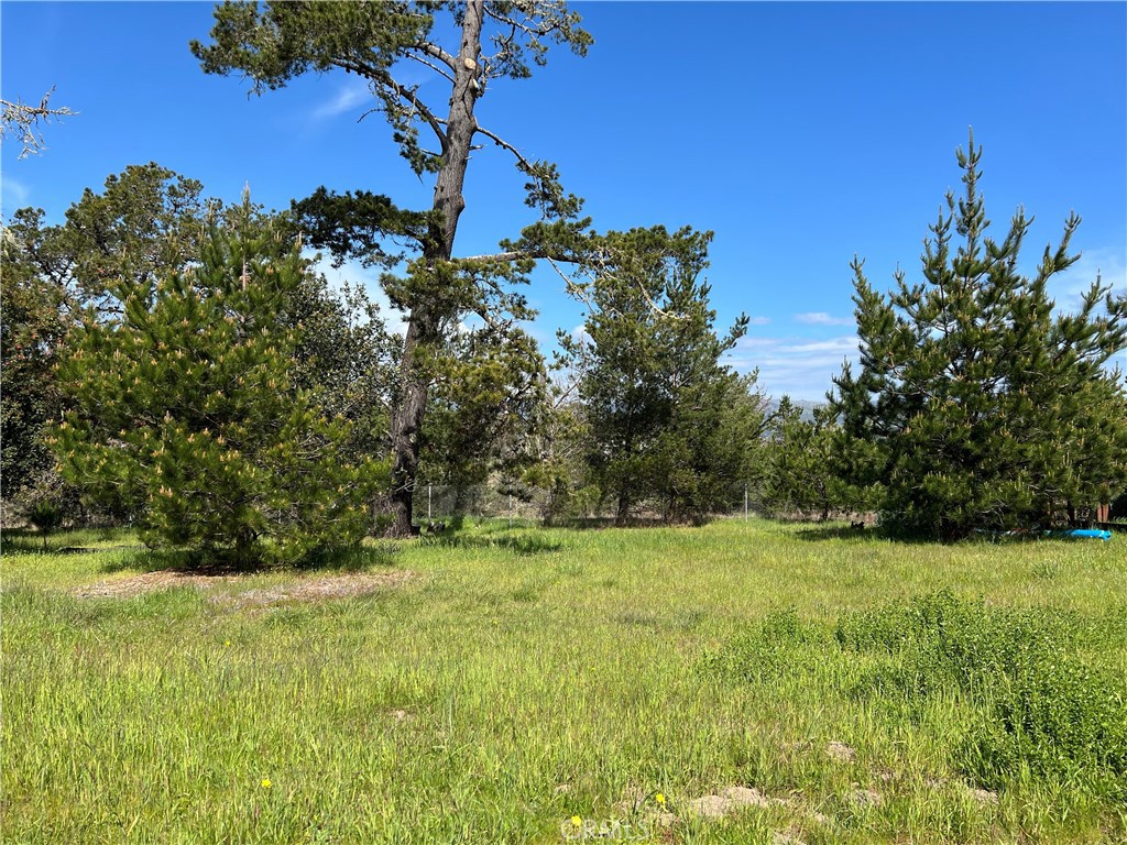 2540 Malvern Street Cambria, CA 93428 - Photo 2 of 11 a view of an outdoor space with a lake view