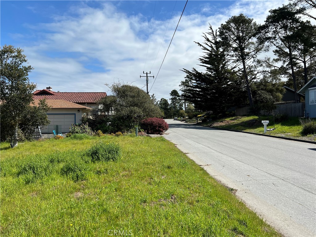 2540 Malvern Street Cambria, CA 93428 - Photo 5 of 11 a view of a garden