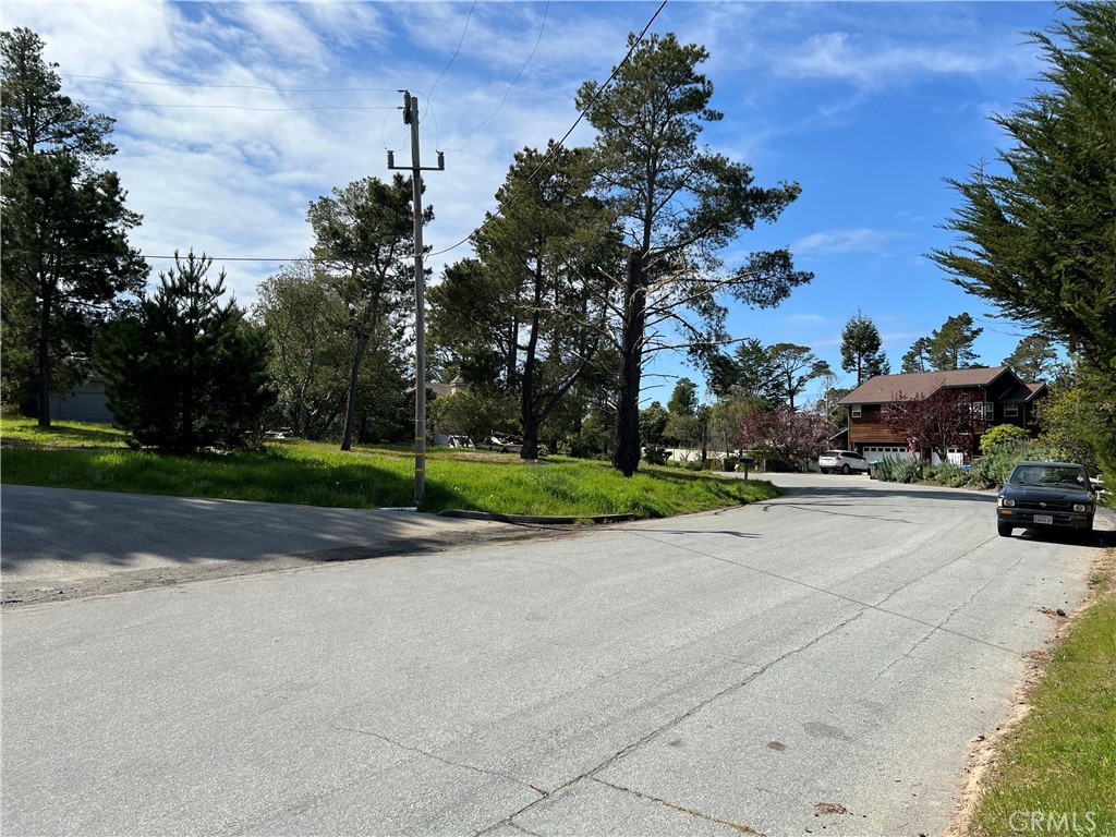 2540 Malvern Street Cambria, CA 93428 - Photo 6 of 11 a view of a house with a big yard and palm trees