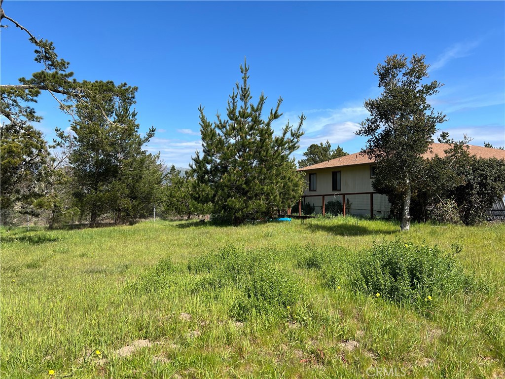 2540 Malvern Street Cambria, CA 93428 - Photo 10 of 11 a front view of a house with a yard