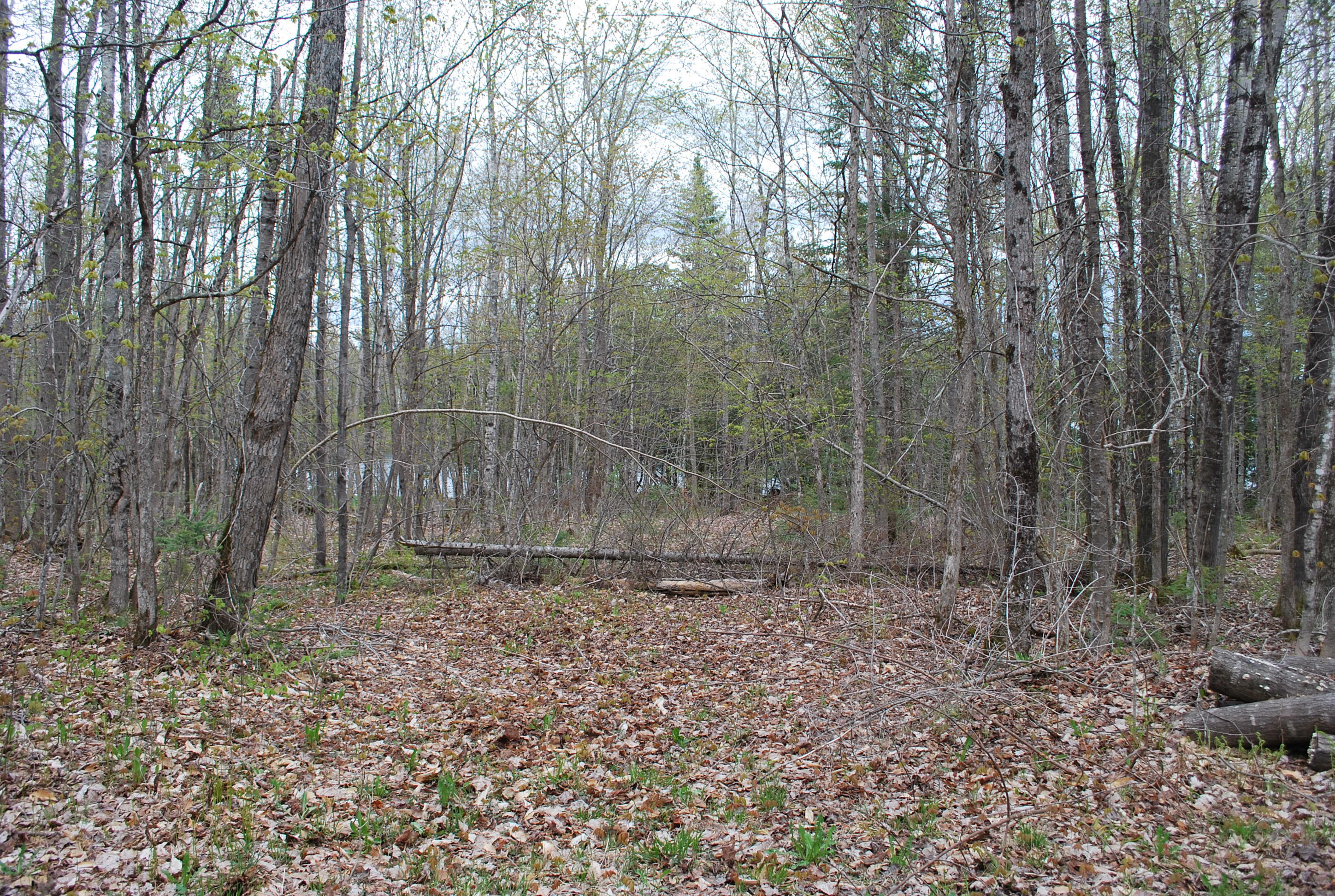0 Anderson Road Sangerville, ME 04479 - Photo 2 of 11 Ross & Carr 001