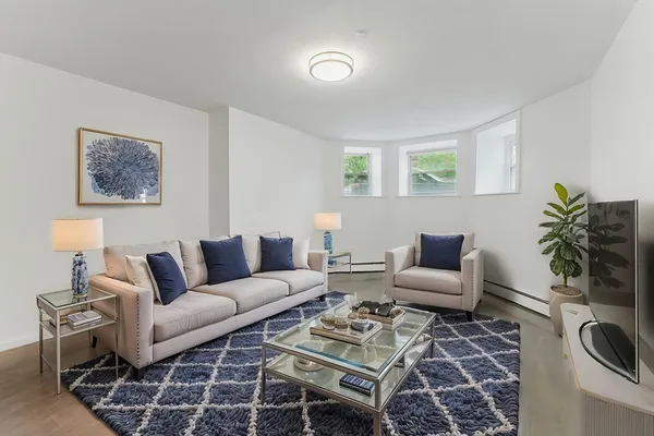 a living room with furniture a rug and a potted plant