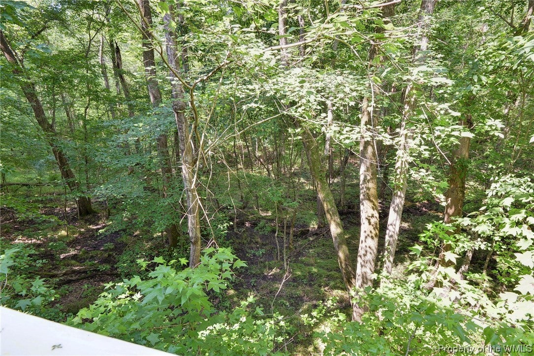 154 Cooley Road Williamsburg, VA 23188 - Photo 36 of 38 Gallery Image 36