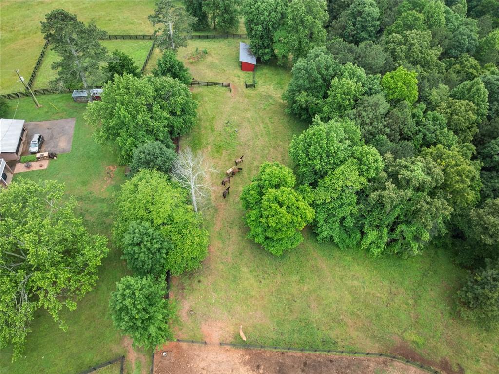 7215 Kelly Bridge Road Dawsonville, GA 30534 - Photo 77 of 83