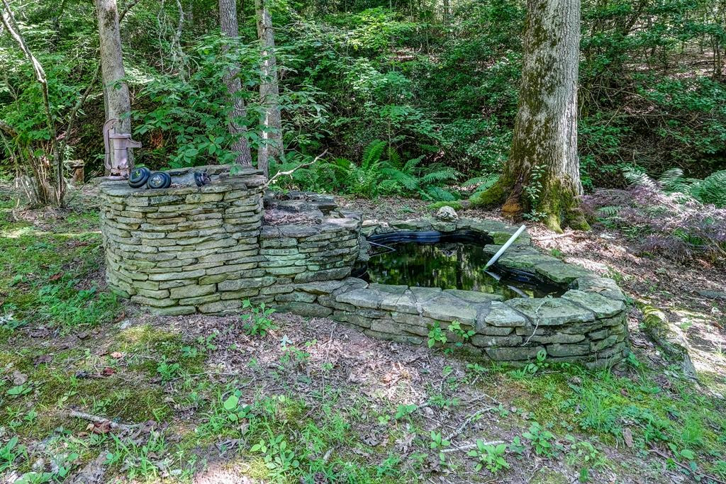 2785 Sunny Point Road Murphy, NC 28906 - Photo 30 of 43
