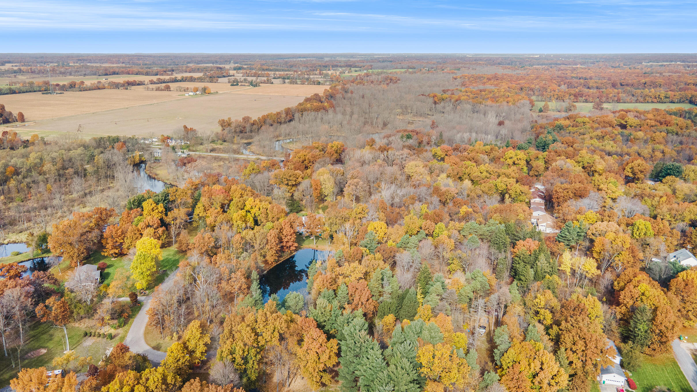15926 Green Briar Road Three Rivers, MI 49093 - Photo 25 of 34 Pond