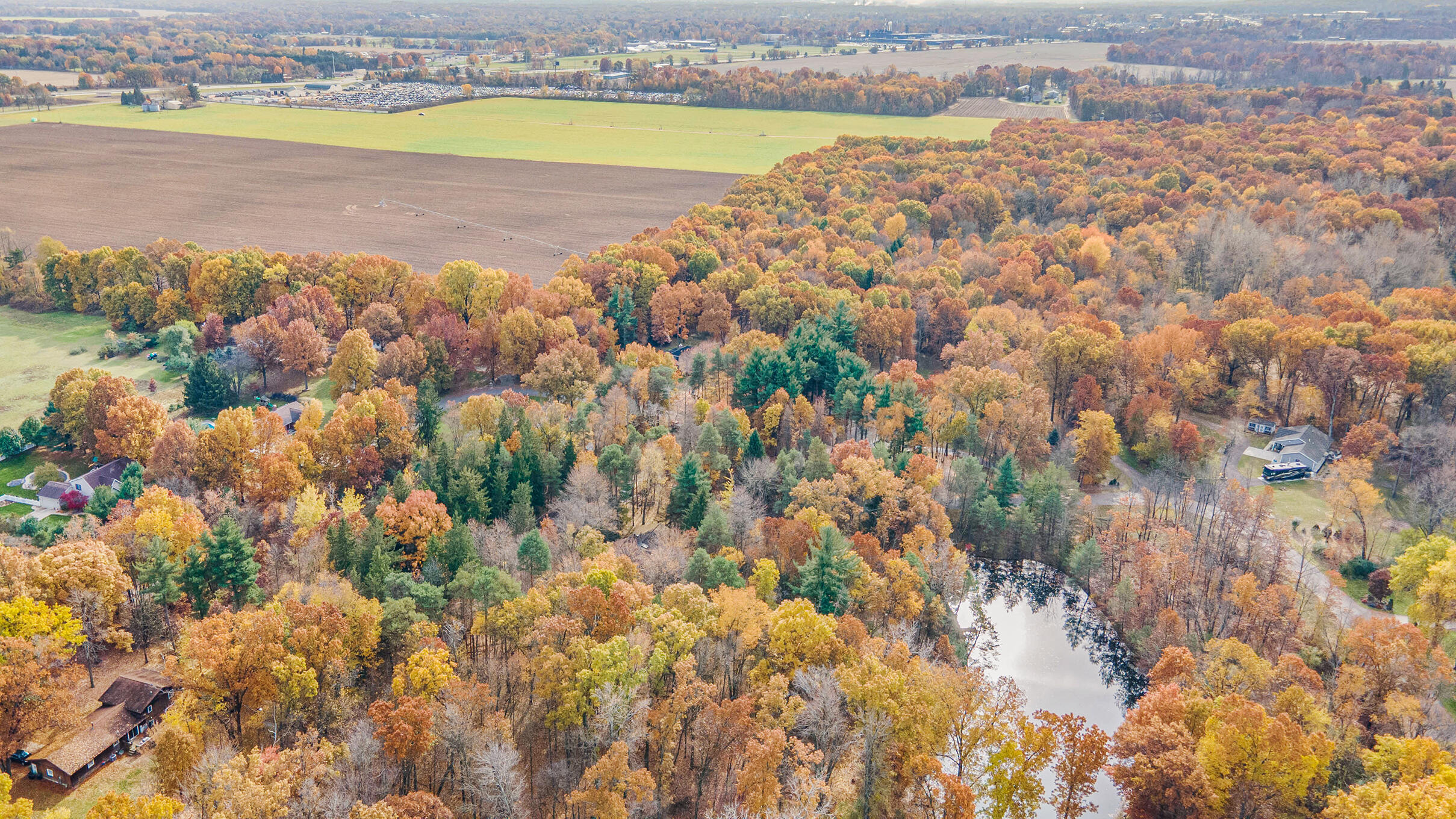 15926 Green Briar Road Three Rivers, MI 49093 - Photo 26 of 34 Pond