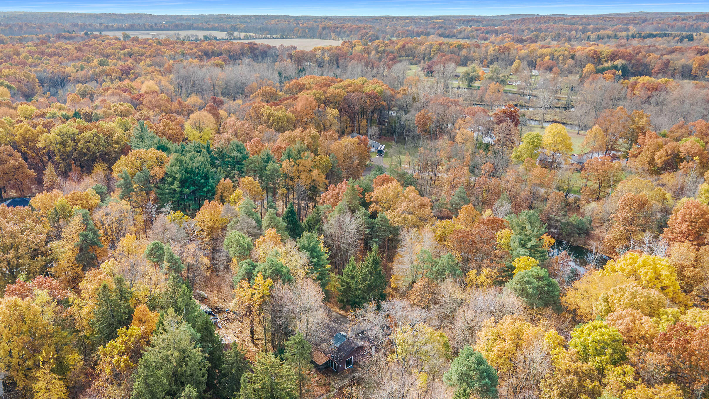 15926 Green Briar Road Three Rivers, MI 49093 - Photo 27 of 34 Woods