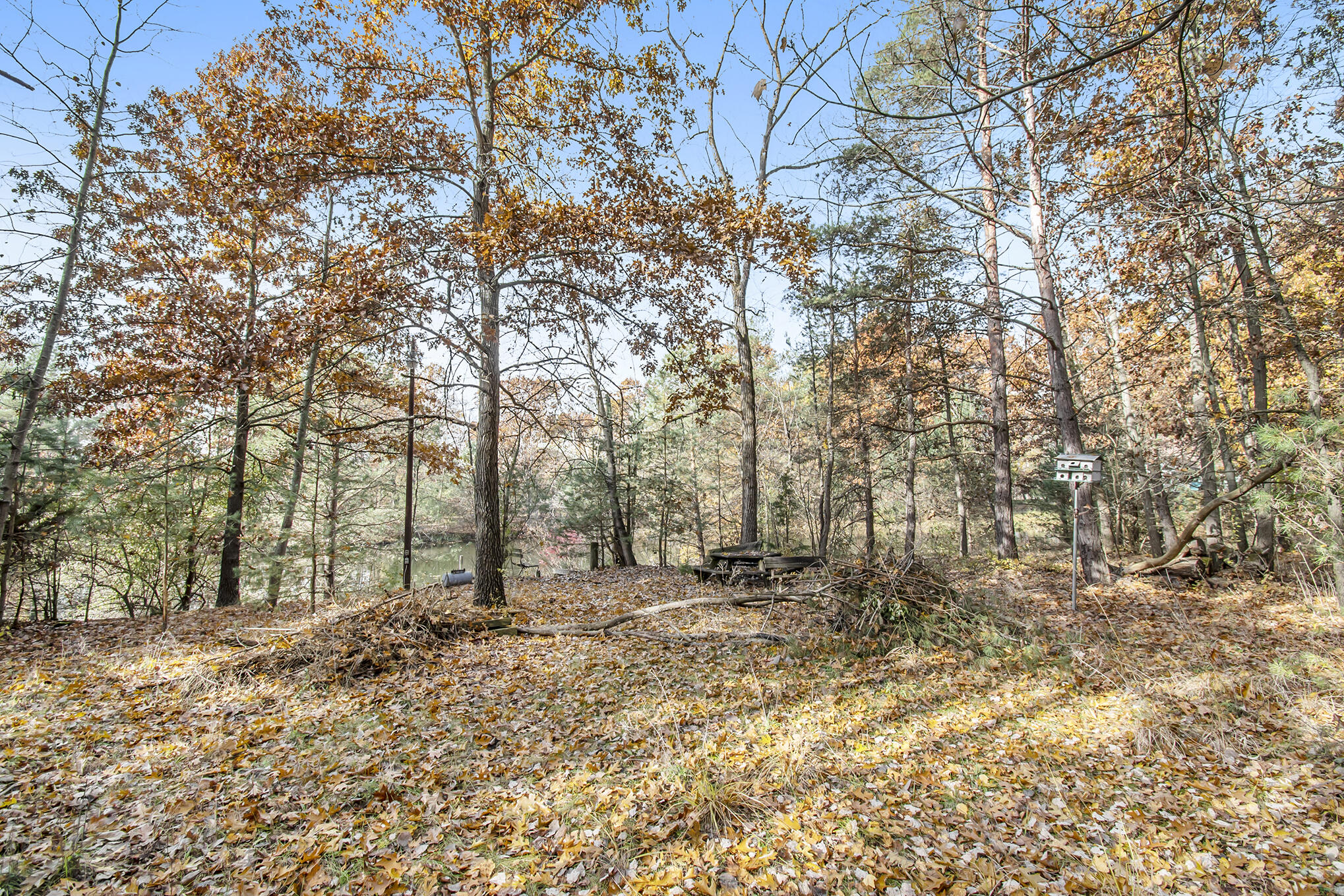 15926 Green Briar Road Three Rivers, MI 49093 - Photo 31 of 34 Clearing Near Pond