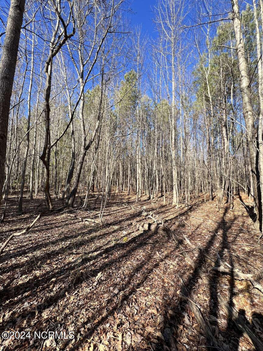 0 Highway 220 Road North Ellerbe, NC 28338 - Photo 6 of 10 Foushee.6