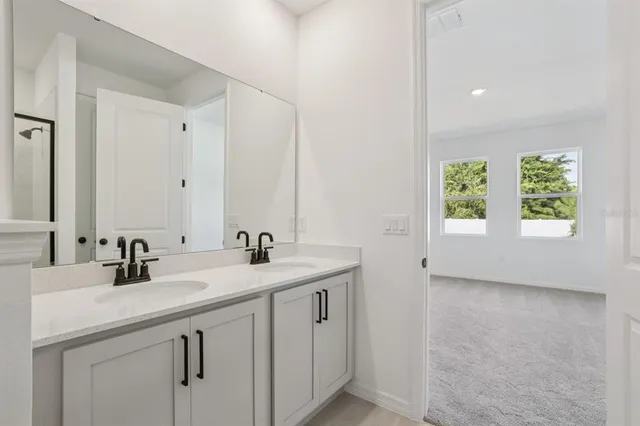 a bathroom with a sink a toilet and mirror
